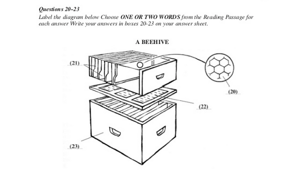 dạng bài compreting secntense