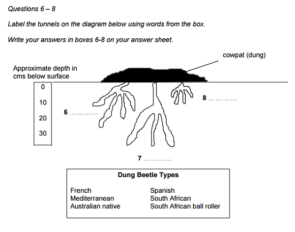 dạng bài compreting secntense