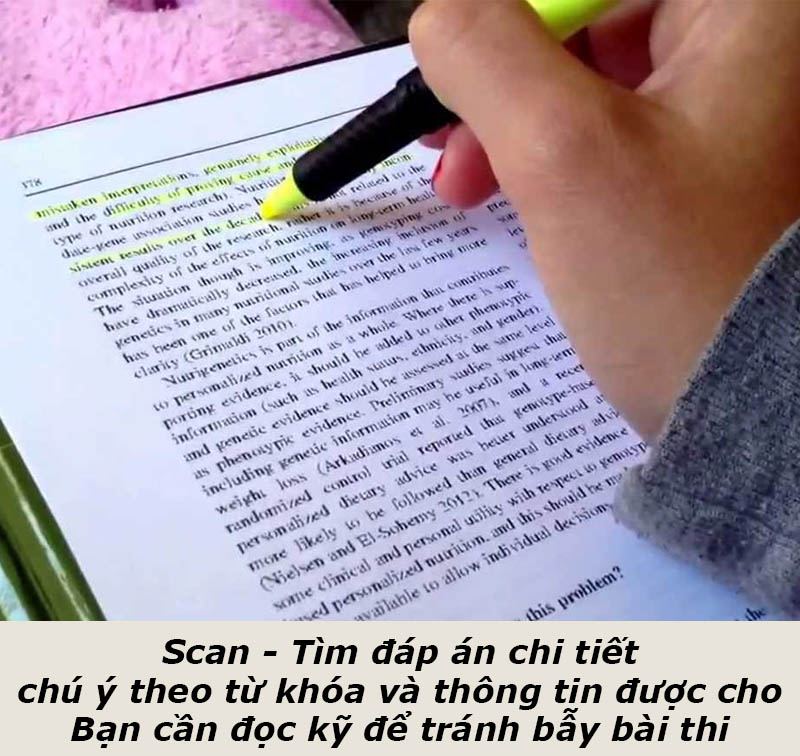 Skim - scan và chiến thuật làm bài Reading 2