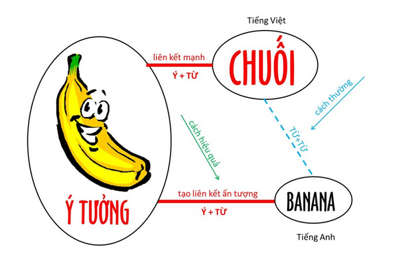 Ngữ pháp trong IELTS - Liên kết ý tưởng