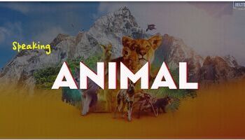 IELTS Speaking Sample Answer topic Animal
