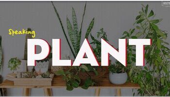 IELTS Speaking Sample Answer topic Plants
