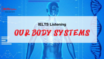 Unit 19: Our body systems