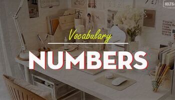 Unit 24 : Numbers - Con số