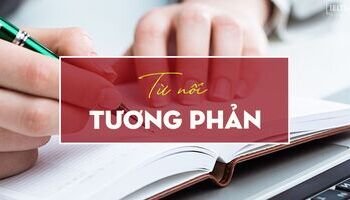 Unit 3: Các từ nối tương phản trong bài thi IELTS