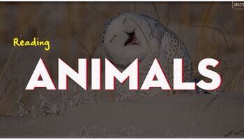 IELTS Reading topic Animals