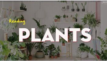 IELTS Reading topic Plants