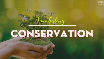 IELTS Vocabulary topic Environment - Conservation