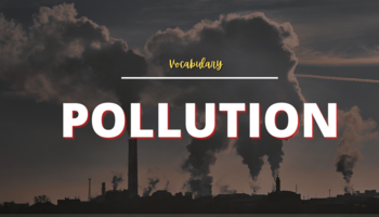 Từ vựng tiếng Anh về chủ đề Ô nhiễm môi trường - Pollution