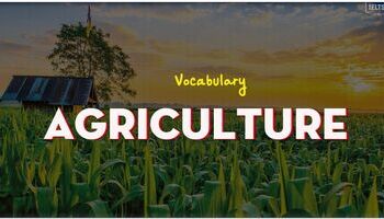 IELTS Vocabulary topic Agriculture