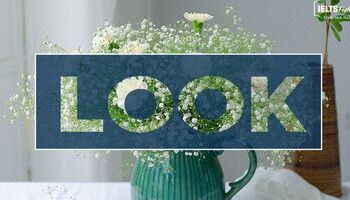 Phrasal verbs with Look - 23 Cụm động từ đi với "Look" trong IELTS