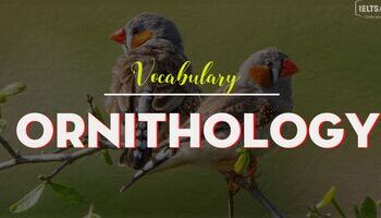 IELTS Vocabulary topic Ornithology và Veterinary science