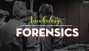Từ vựng tiếng Anh về Pháp y - IELTS Vocabulary in Forensics