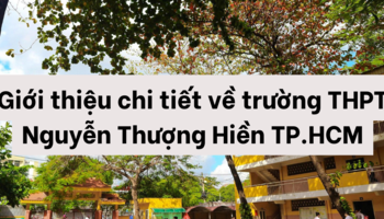 Giới thiệu chi tiết về trường THPT Nguyễn Thượng Hiền TP.HCM