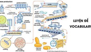 Luyện đề Writing Task 1: The process of making cheese