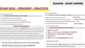 IELTS Reading: Chiến lược làm bài SHORT ANSWER QUESTION
