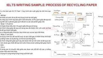 IELTS Writing Sample: Process of recycling paper