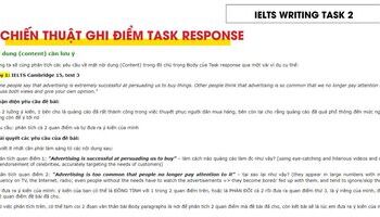 Chiến thuật nâng cao điểm số theo tiêu chí Task response trong IELTS Writing Task 2