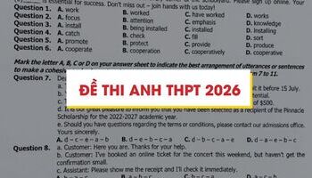 Đề thi tiếng Anh THPT 2026 - Đáp án 48 mã đề Anh THPT 2026