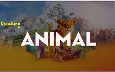 IELTS Speaking Sample Answer topic Animal