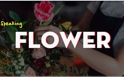 IELTS Speaking Part 1 - Topic: Flowers