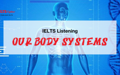 Unit 19: Our body systems