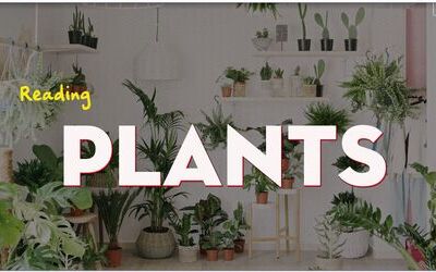 IELTS Reading topic Plants