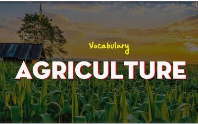 IELTS Vocabulary topic Agriculture