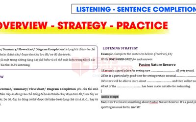 Bài luyện tập IELTS Listening - Sentence/summary/flowchart/diagram completion