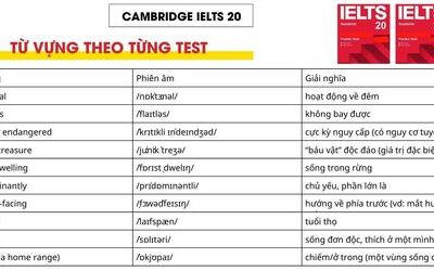 Từ vựng Reading trong sách Cambridge IELTS 20