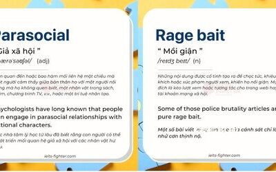 Từ của năm: Parasocial, Rage Bait, Aura Farming, Bio Hacking, Vibe Coding là gì?