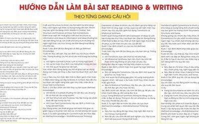 SAT Reading and Writing: Cấu trúc từng nhóm câu hỏi + Chiến thuật tăng điểm hiệu quả