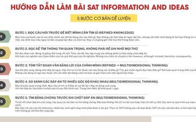 Information and Ideas trong SAT: Dạng bài, Cách làm, Ví dụ, bài tập cụ thể