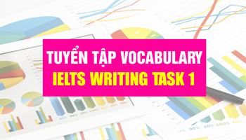 Tuyển tập IELTS Vocabulary trong Writing Task 1 cần nắm rõ