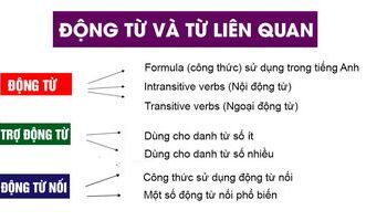 Động từ (verbs) trong tiếng Anh - bài tập thực hành chi tiết