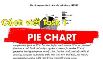 Cách viết biểu đồ tròn (Pie Chat) trong IELTS Writing task 1