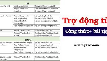Trợ động từ (Auxiliary verbs) và bài tập có đáp án chi tiết