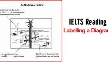 IELTS Reading: Chiến lược làm bài LABELLING A DIAGRAM