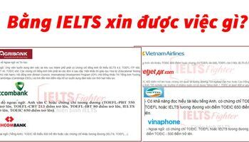 Bằng IELTS xin được việc gì? Những công việc cần bằng IELTS