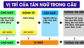Tân ngữ là gì? Các loại và hình thức tân ngữ trong tiếng Anh