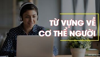Từ vựng các bộ phận trên cơ thể bằng tiếng anh