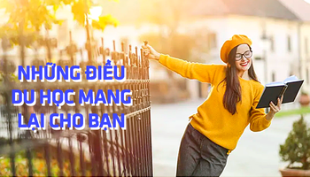 Du học có phải con đường dẫn tới thành công?