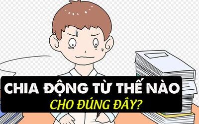 Ngữ pháp IELTS: Sự hòa hợp chủ ngữ - Động từ (Subject – Verb Agreement)