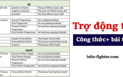 Trợ động từ (Auxiliary verbs) và bài tập có đáp án chi tiết