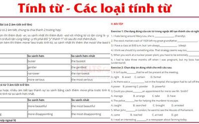 Tính từ trong tiếng Anh (Adjectives) - Vị trí, cách hình thành tính từ và bài tập