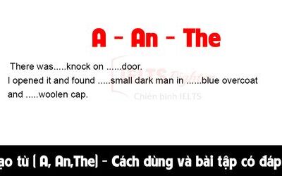 ARTICLE (Mạo từ) là gì? Cách sử dụng và bài tập có đáp án
