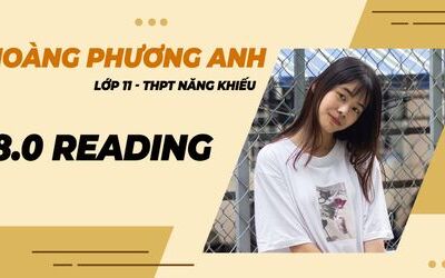 Bí kíp đạt 8.0 Reading của nữ sinh lớp 11 – Hoàng Phương Anh