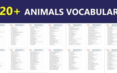 Từ vựng tiếng Anh về động vật (Animals Vocabulary)