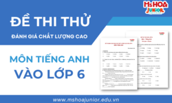 Bộ đề thi thử đánh giá chất lượng cao vào lớp 6 | Môn tiếng Anh | Full đề + Đáp Án