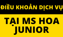 ĐIỀU KHOẢN DỊCH VỤ TẠI MS HOA JUNIOR